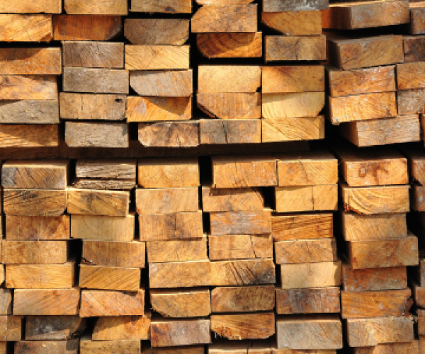 imgi_2_03ACTu6qKSh7FZjnnlyFk7cE4OcCbVxPKqXAWJbd