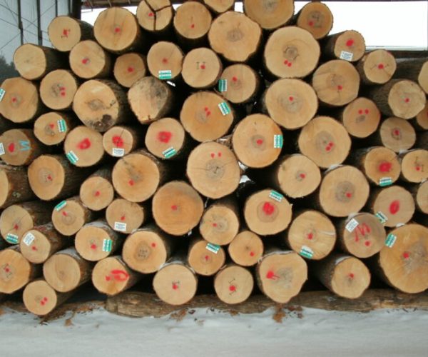 imgi_47_hard-maple-sawlogs-768x576